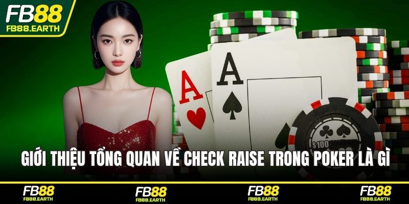Giới thiệu tổng quan về check raise trong poker là gì