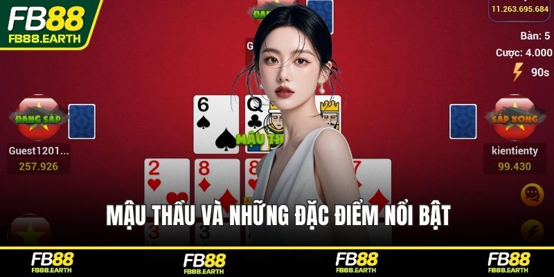 Mậu thầu và những đặc điểm nổi bật