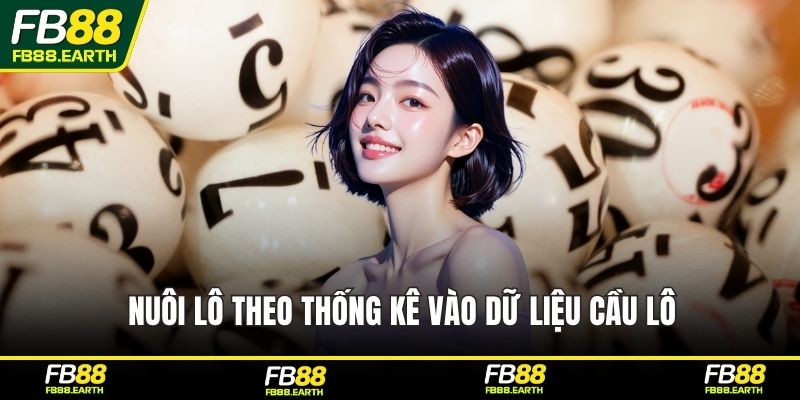 Nuôi lô theo thống kê vào dữ liệu cầu lô