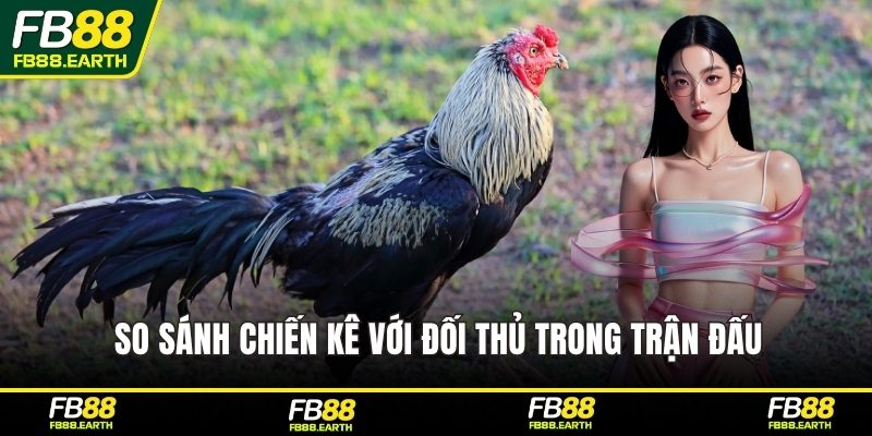 So sánh chiến kê với đối thủ trong trận đấu