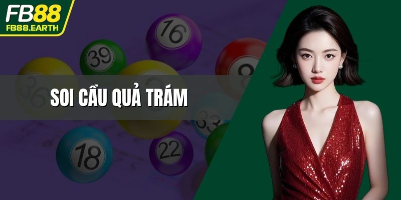 soi cầu quả trám