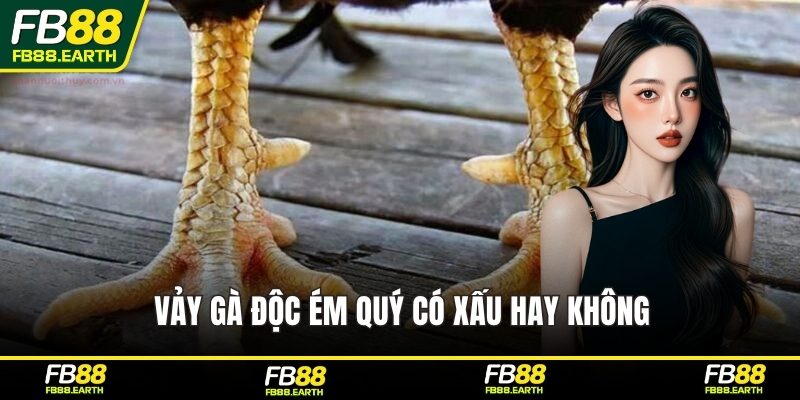 Vảy gà độc ém quý có xấu hay không